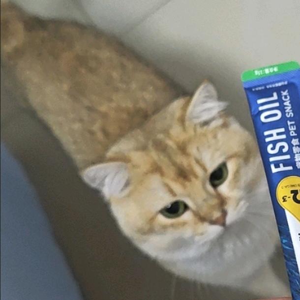 ⌓‿⌓