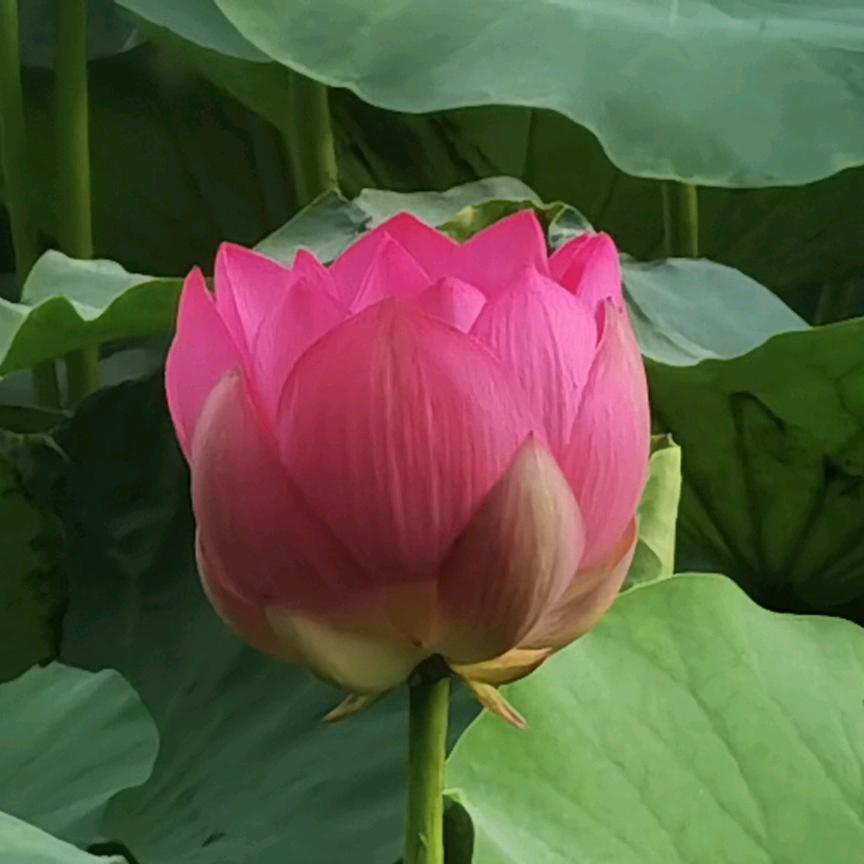 静能生慧
