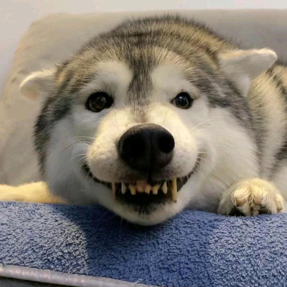 你的钢门松弛但是痔疮弥补了这一缺陷