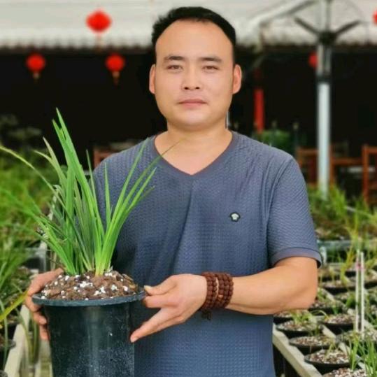 桐柏县兰香阁花卉种植家庭农场崔政伟