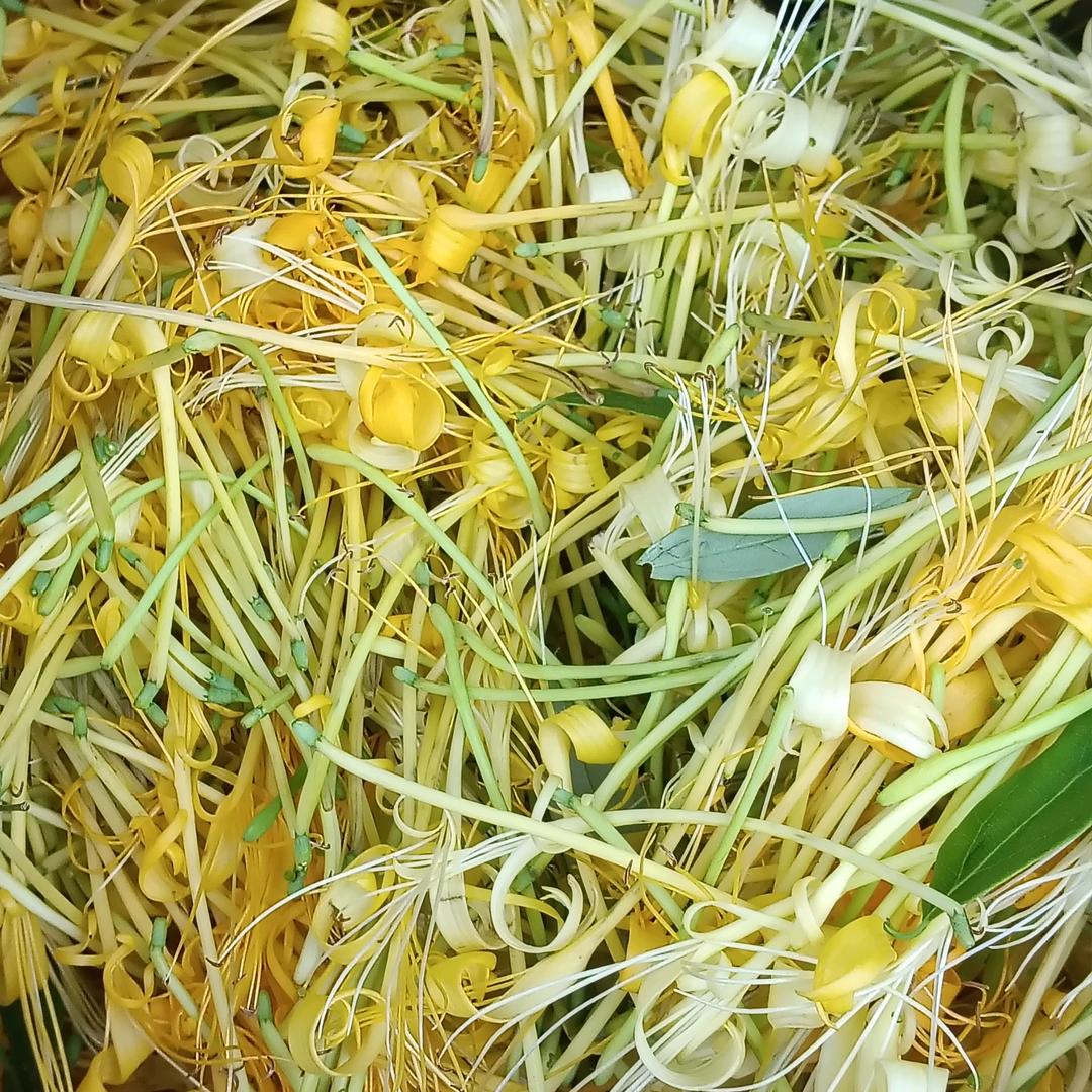 明天会更好