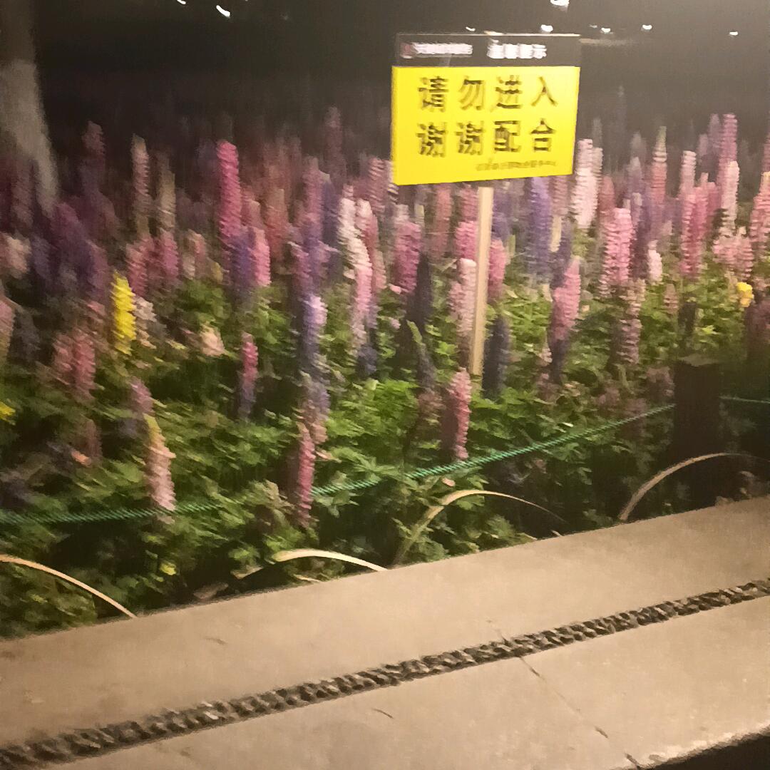 㣻罖