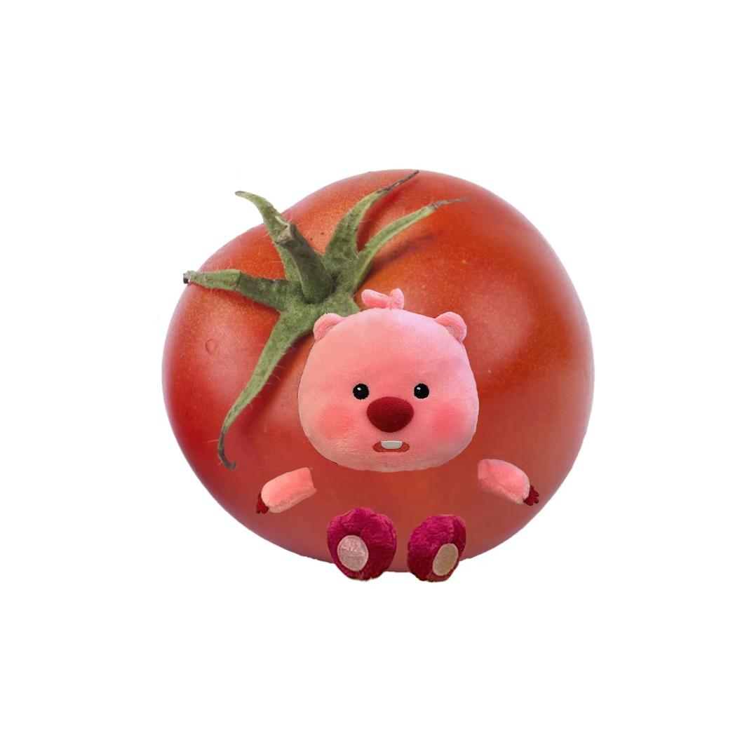番茄～