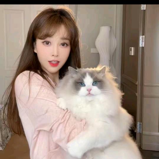 游鹿鹿爆款穿搭师