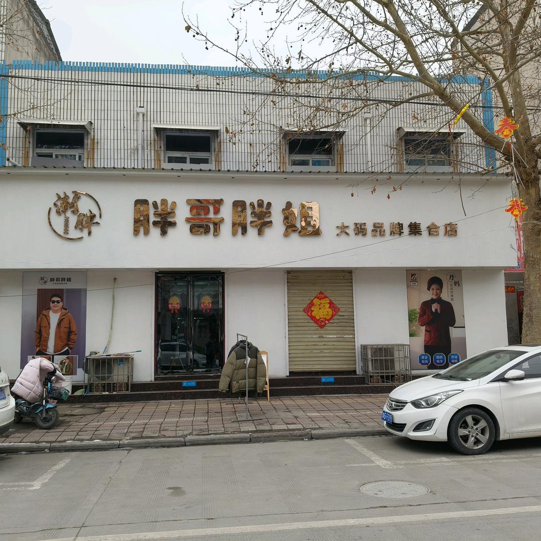 获嘉县新华街胖姐大码女装店