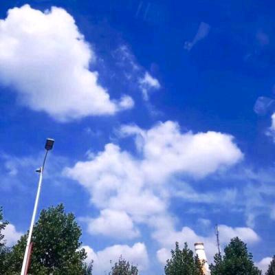 8 0后甄选