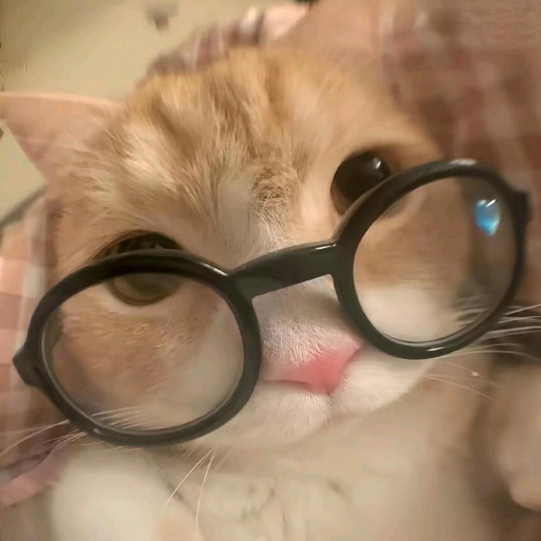 ⱄ.浅醉ꦿ᭄💞