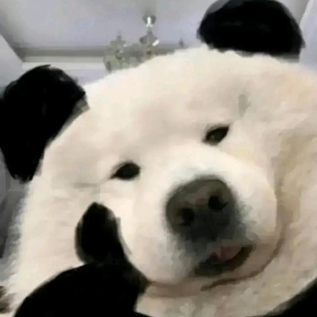 也许是小雨