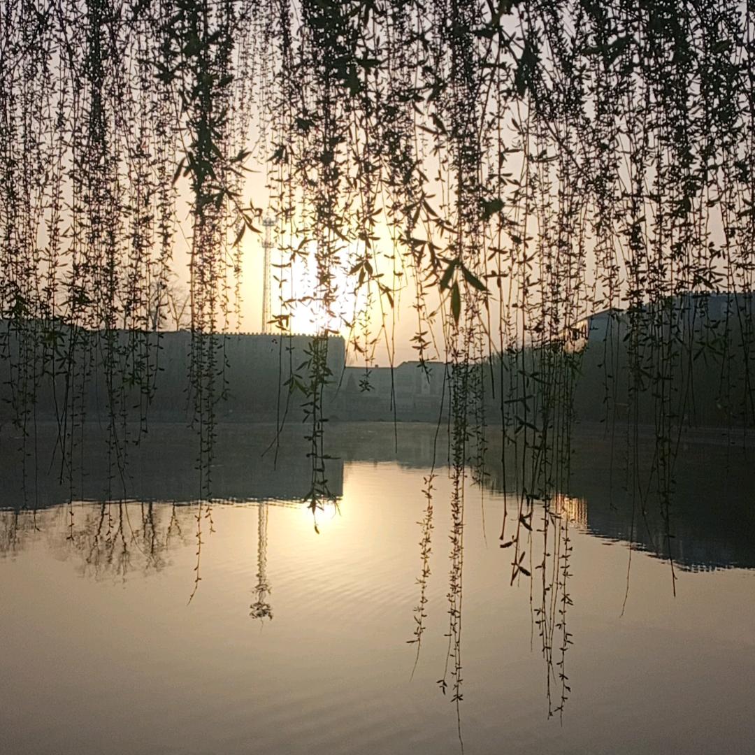 岁 月 静 好