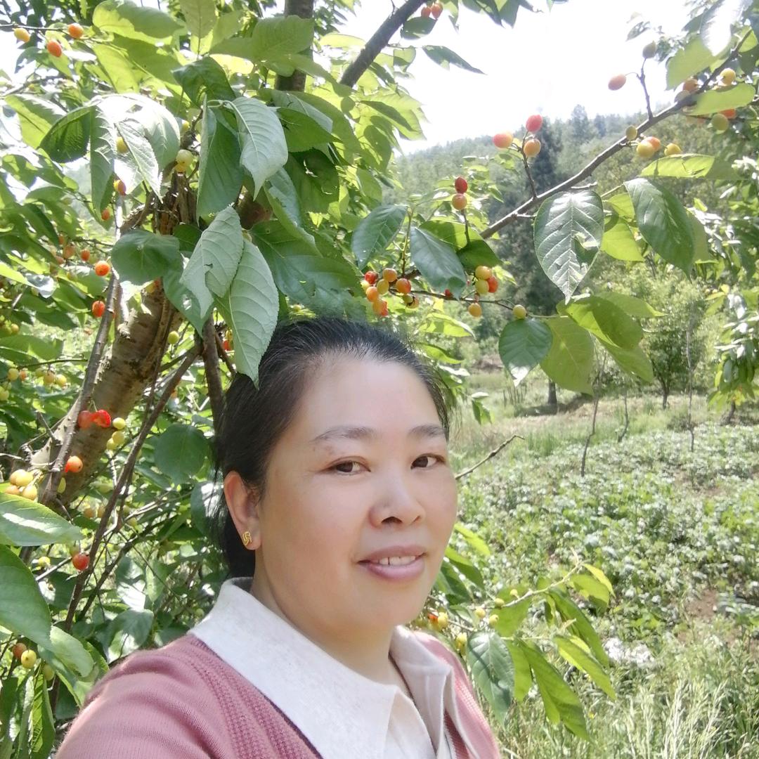 飞姐2