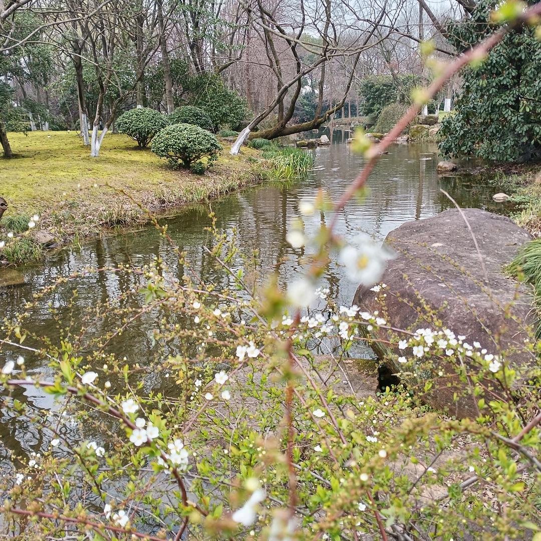 @峰哥