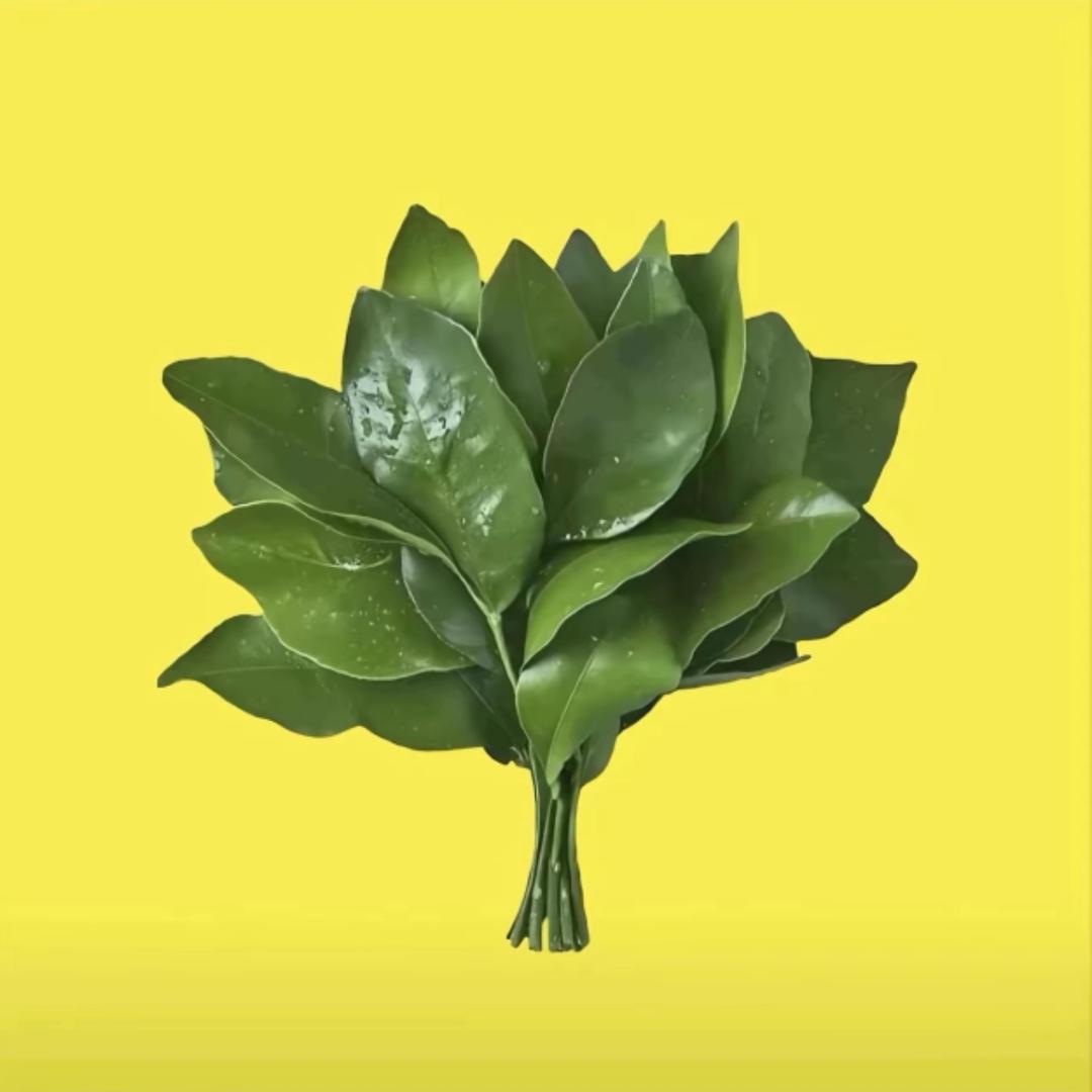 宋小柒