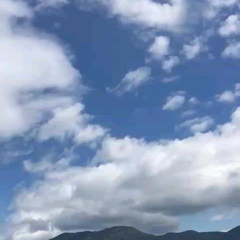 簡單