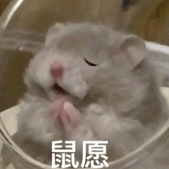 锦子锦吱