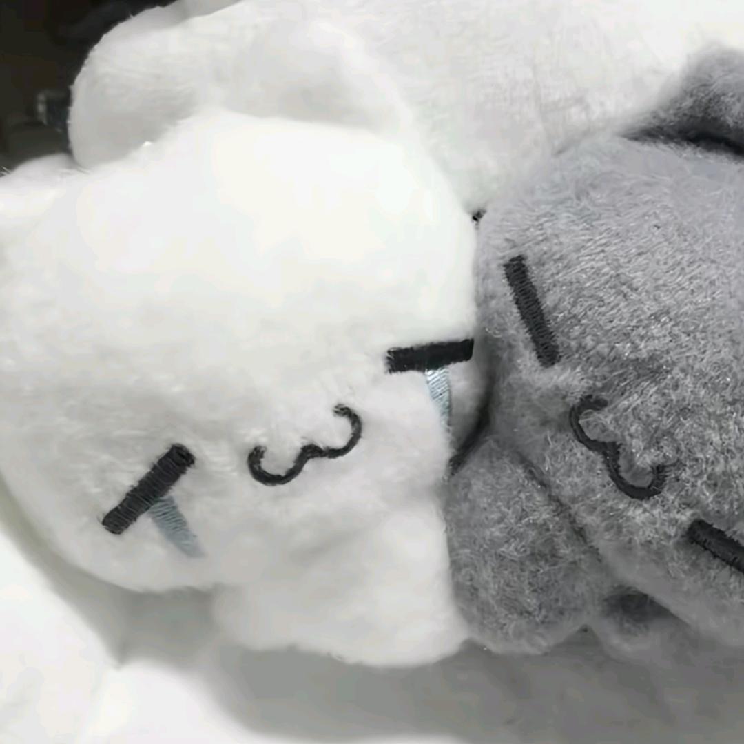 小羽次元