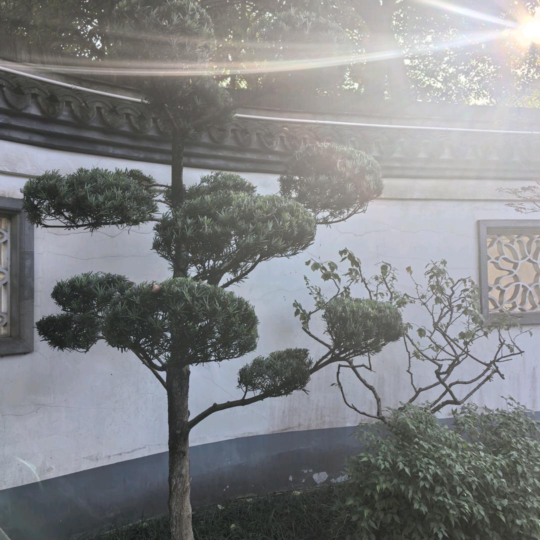 江上青风
