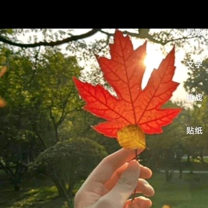 老太婆