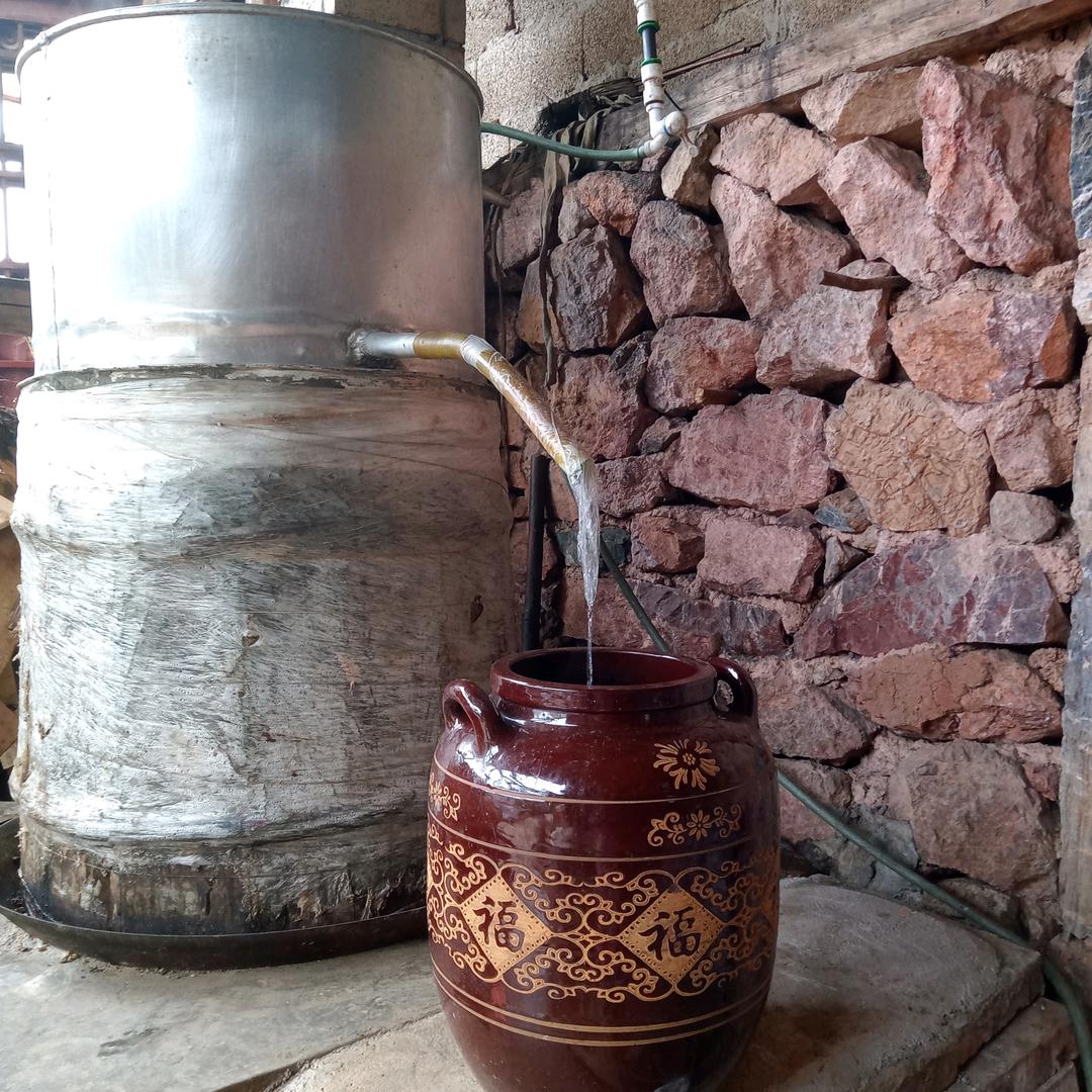 刘华酿酒！文山市马关县八寨镇老马店新寨！