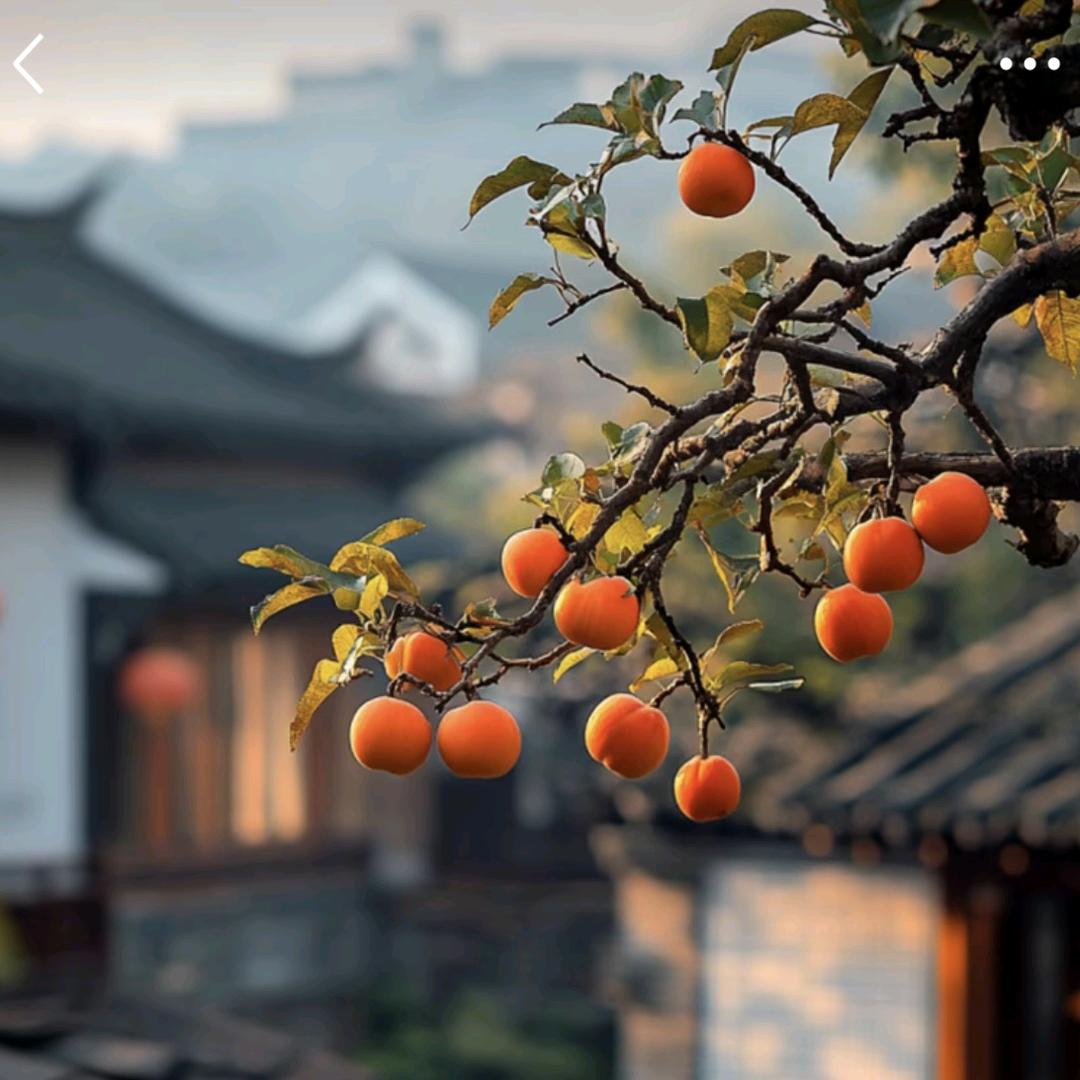 冬春