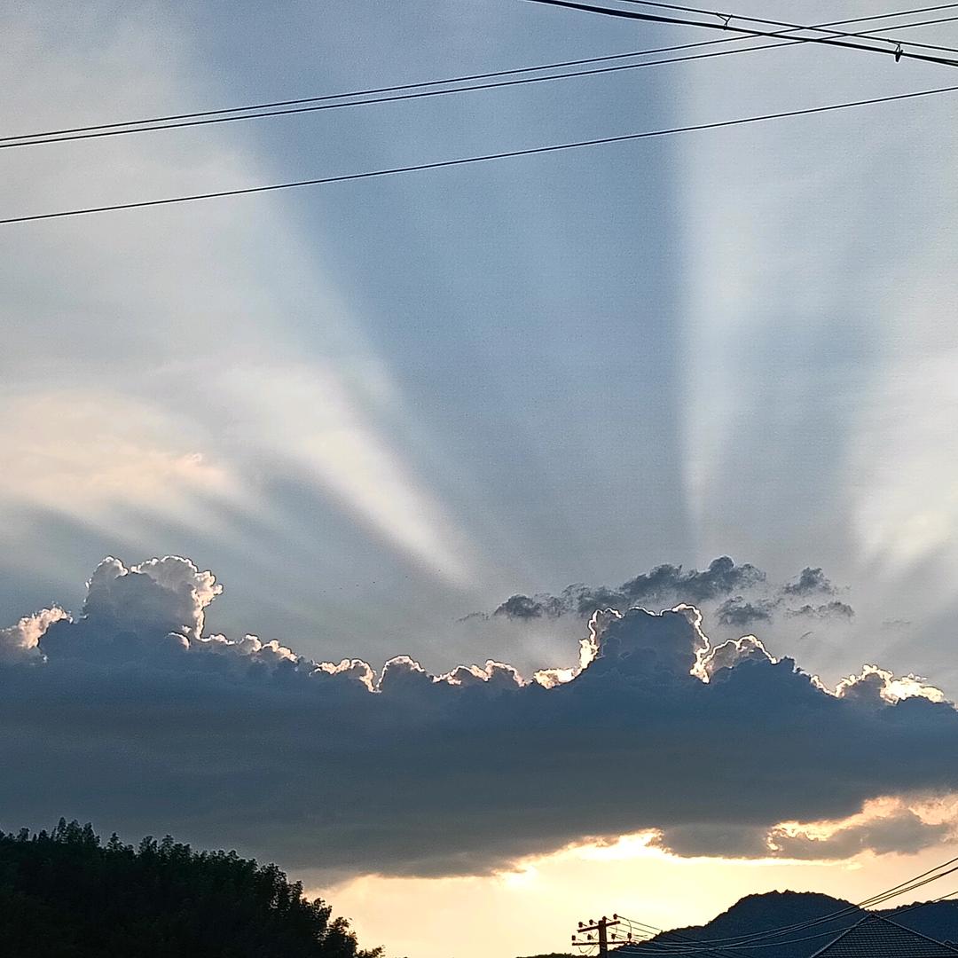 💐((🌺美⥎🌺))🌹