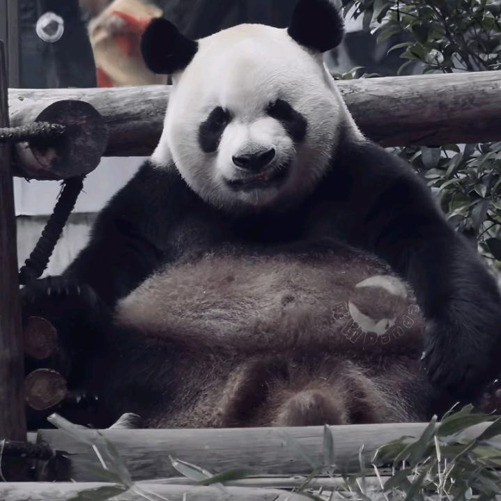 张忠兴