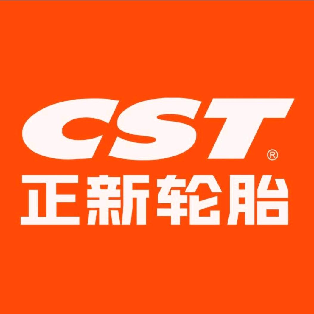 正新轮胎  先锋电动车配件