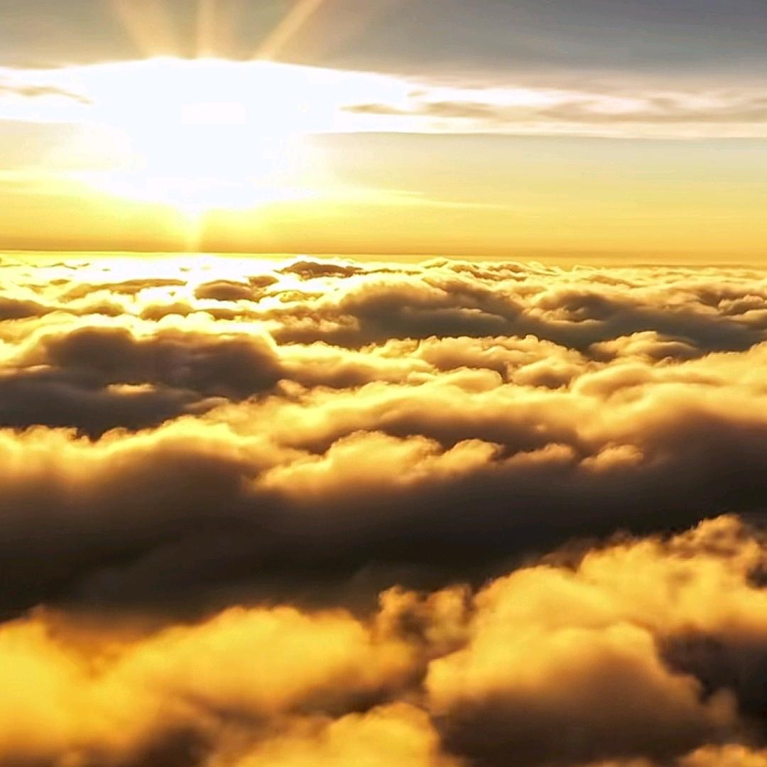 云之精华²¹³⁹🍃🍃