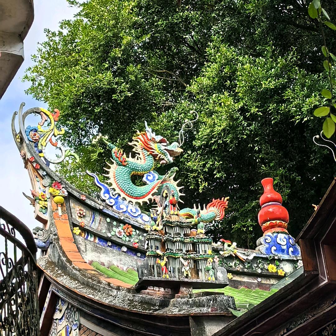 白红薯真噎人