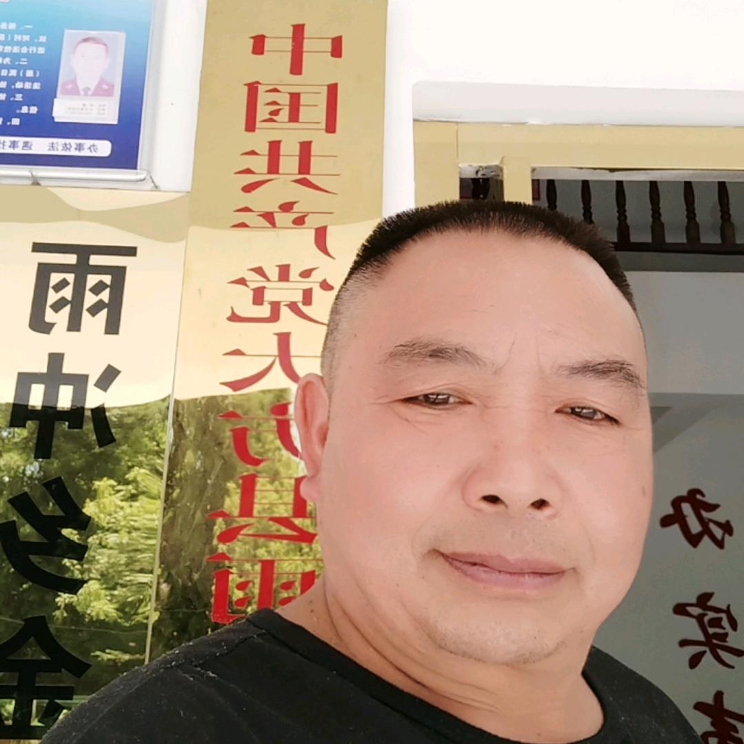 我是一支受伤的鸟