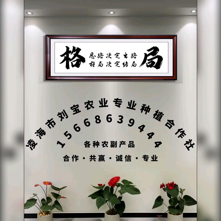 刘宝农业种植专业合作社
