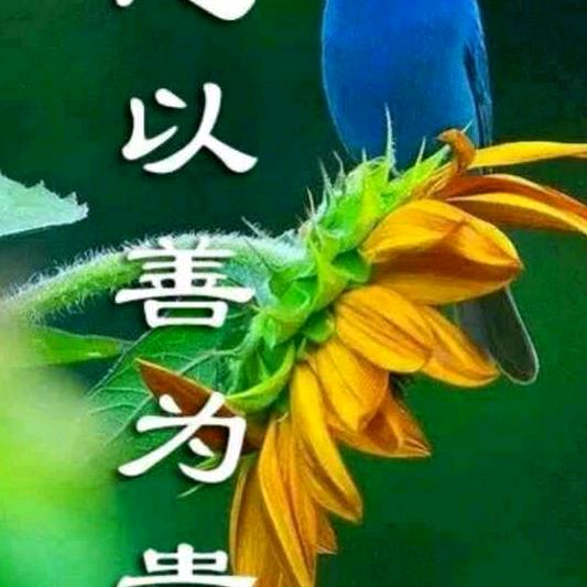 情深深。雨蒙蒙。