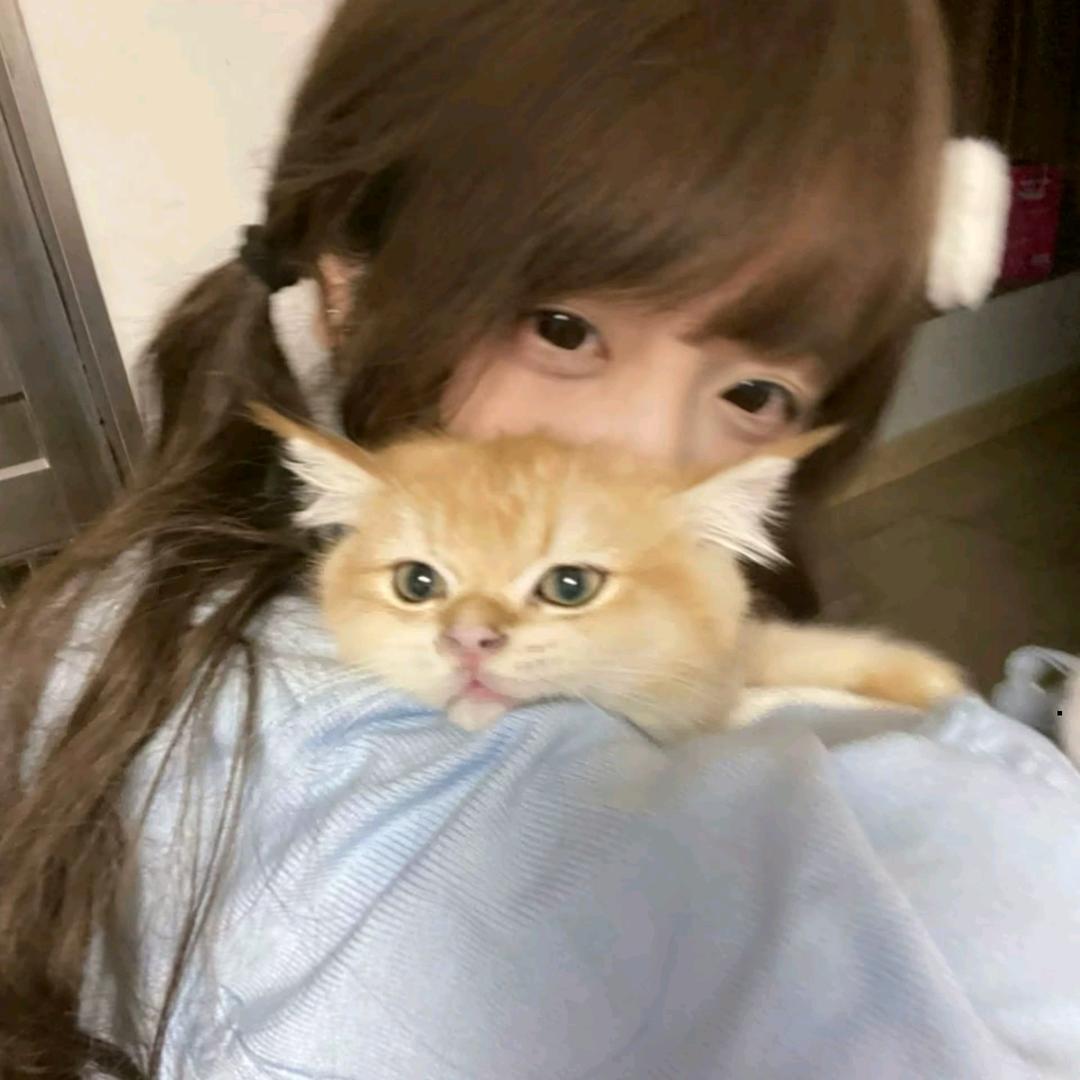 蜀拾行优选