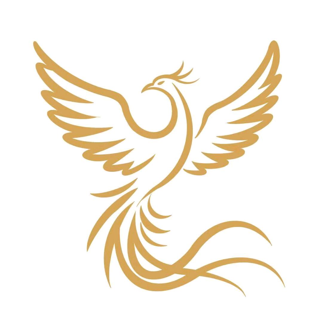 梧桐宝贝 高定高货