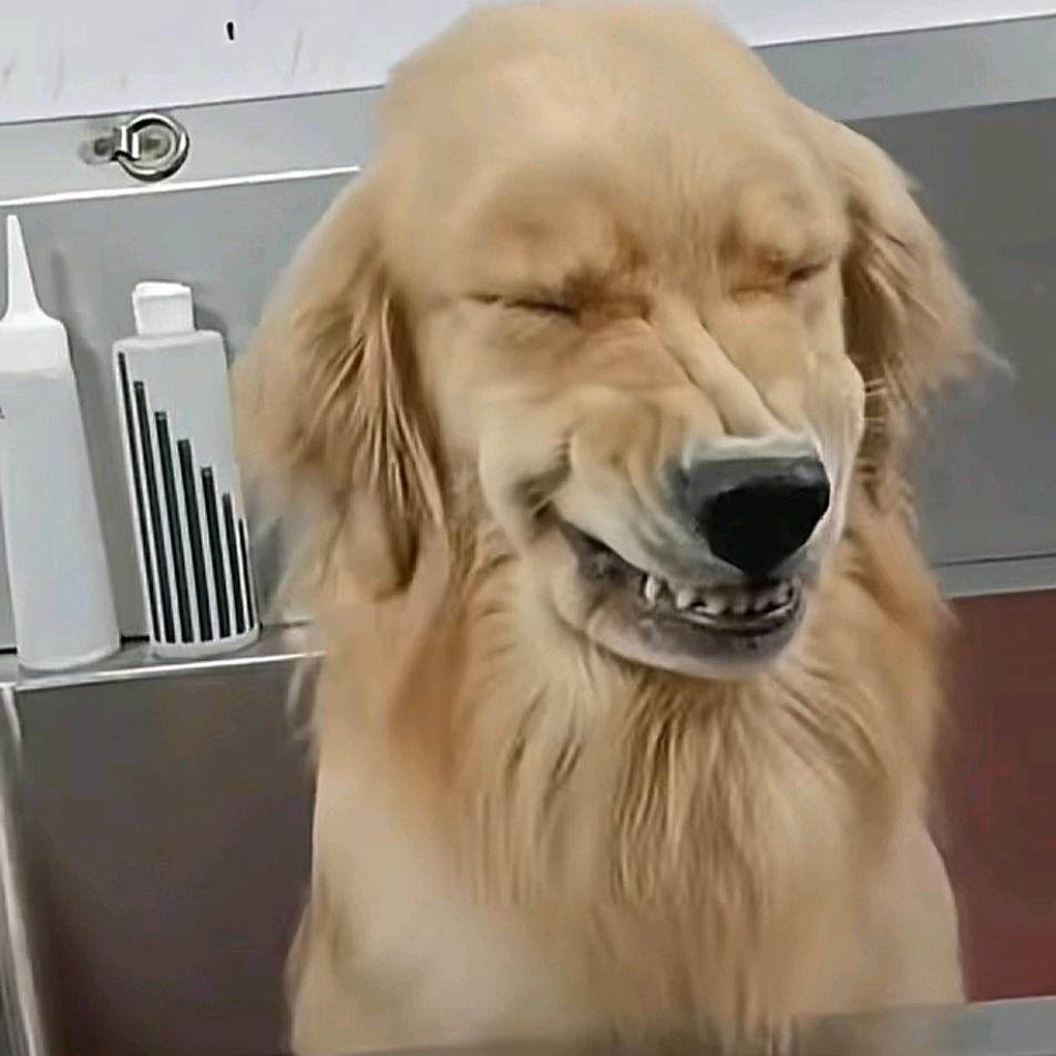 图图cos男仆勾引壮壮妈