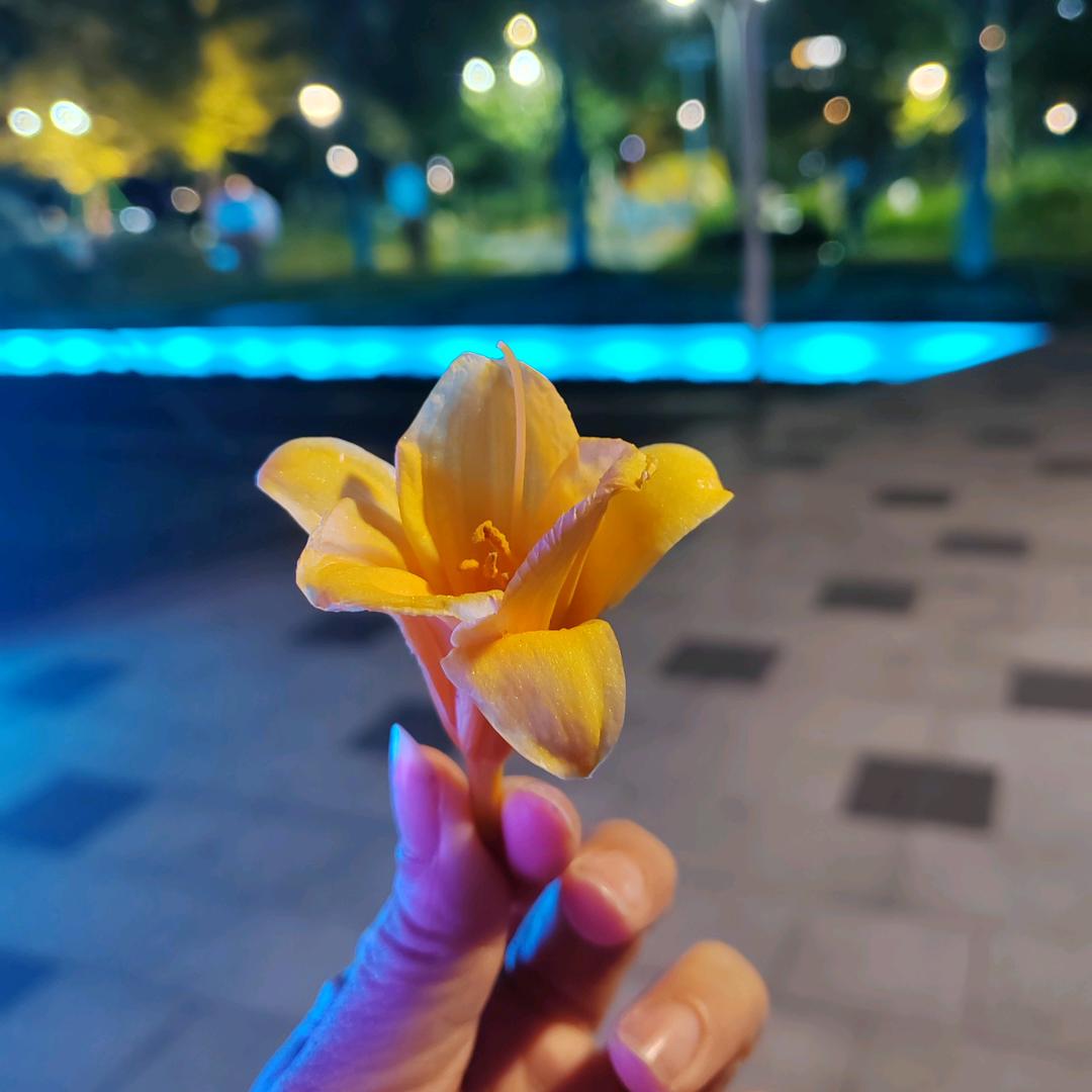 心碎后的沉默