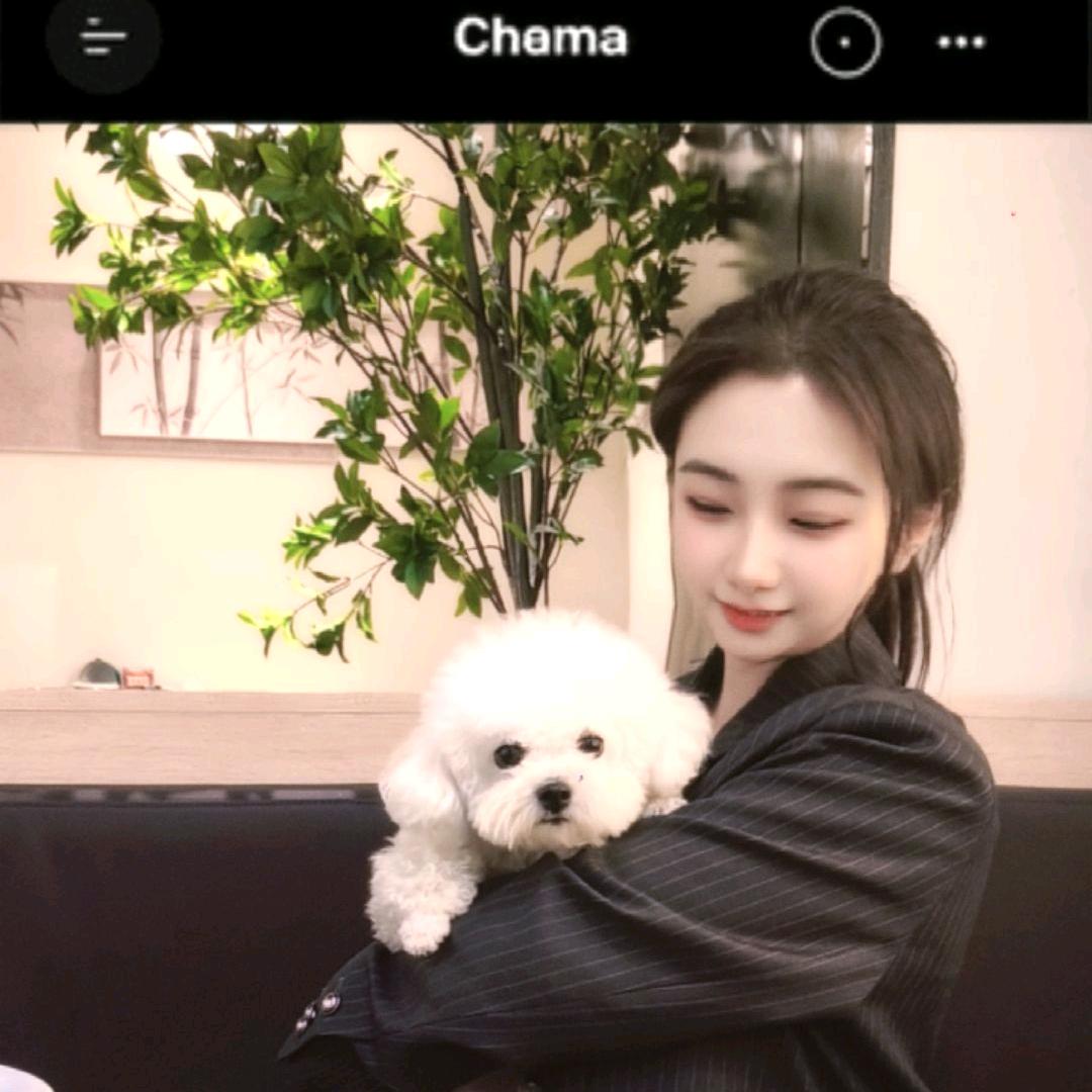 🌸송선원（雪季版）