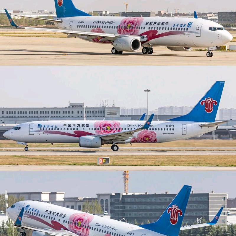 航空升学指导老师