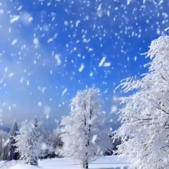 雪纷飞