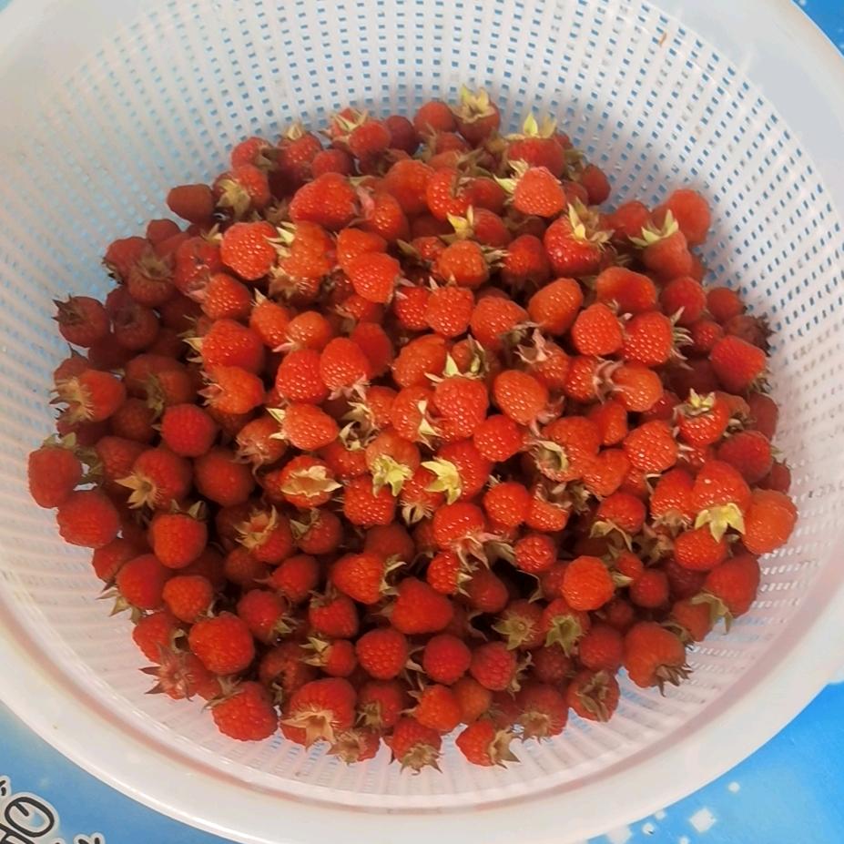 航帆直上