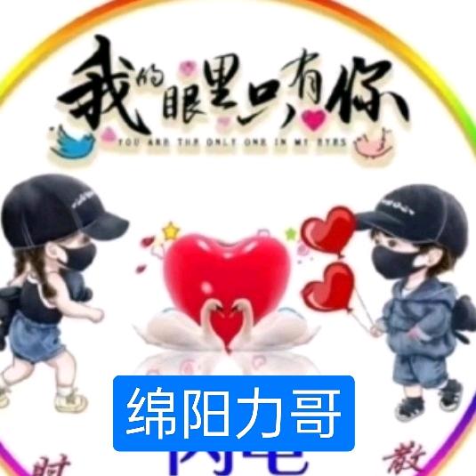 绵阳力哥