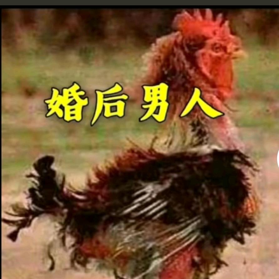 奔波劳（陆）