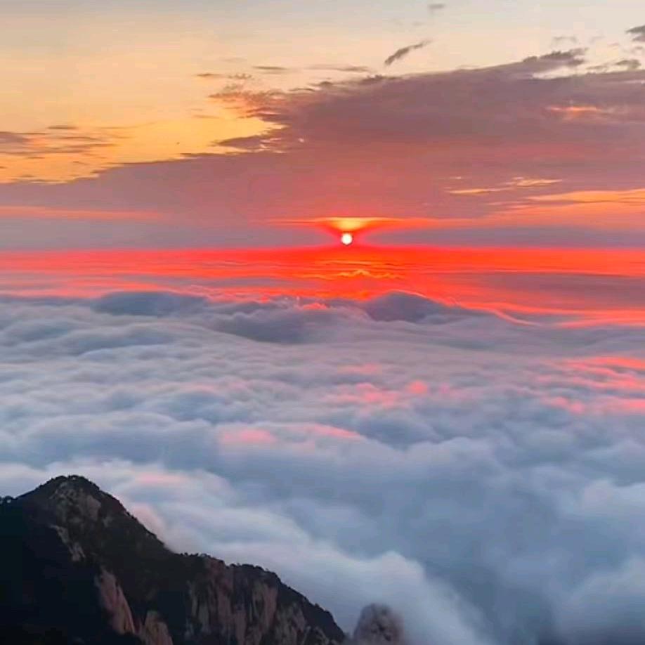 🔱执⚜️念🔱