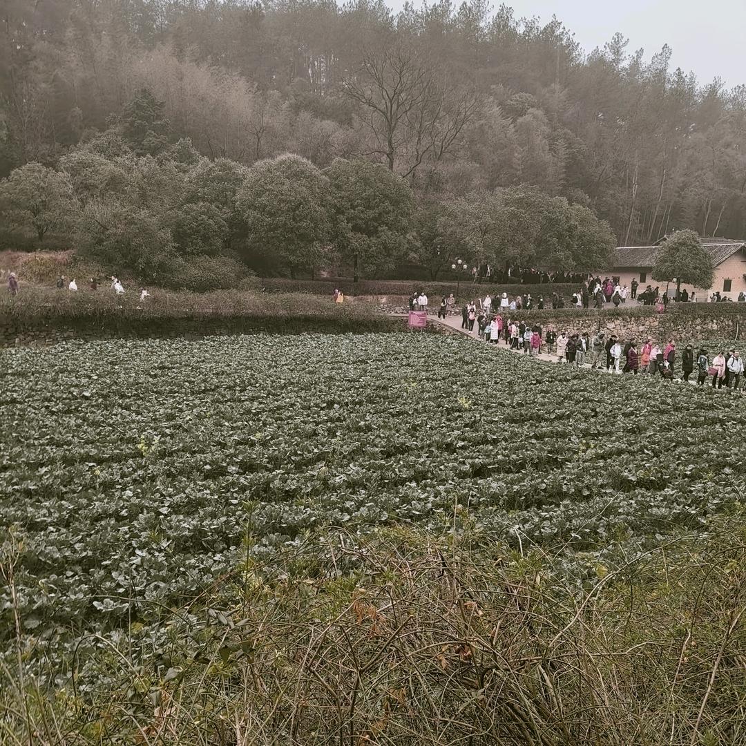 肖流生
