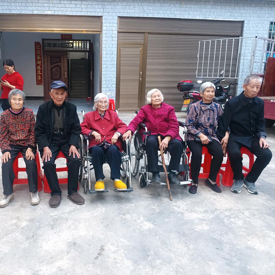 168汽车座垫批发蜂蜜蜂种批发