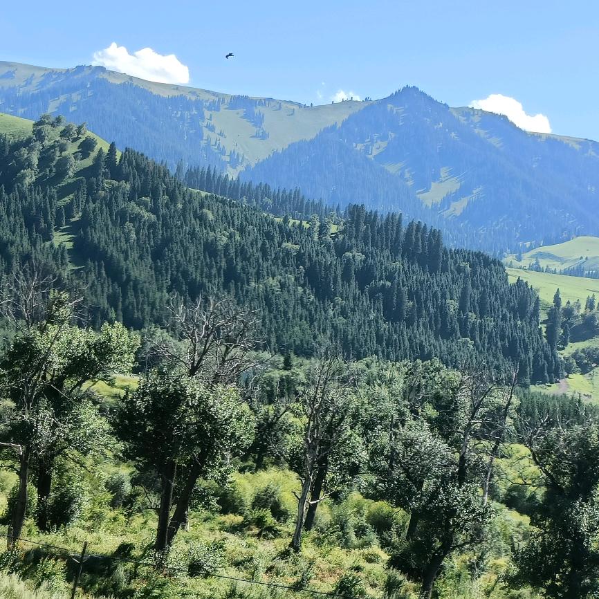 ℋღ᭄与雷₅₂₀心安💞࿐