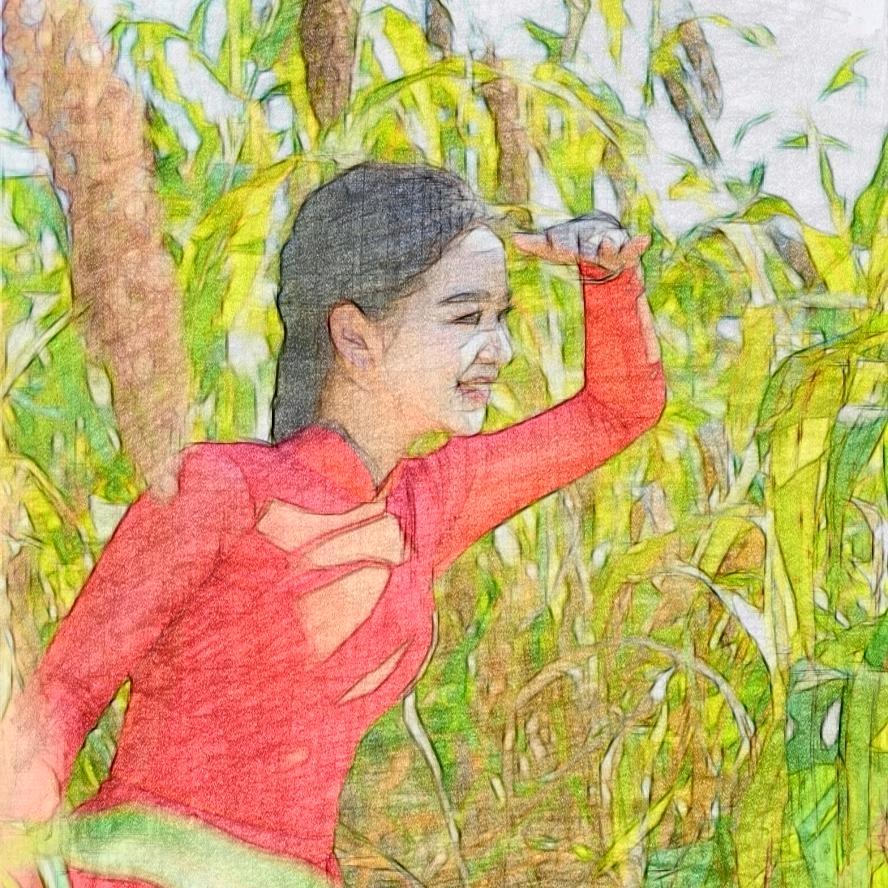 菲儿