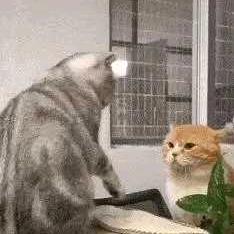 自由自在