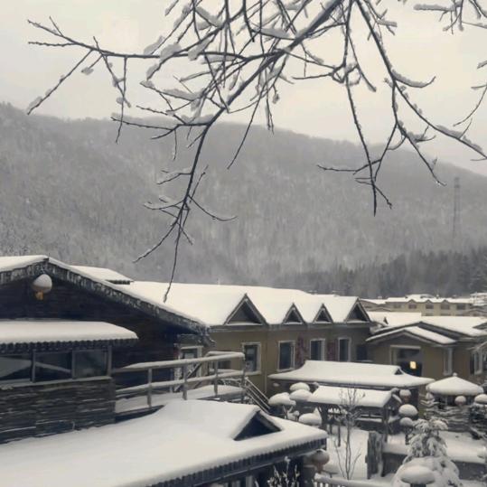 今天明天