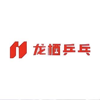 龙栖乒乓