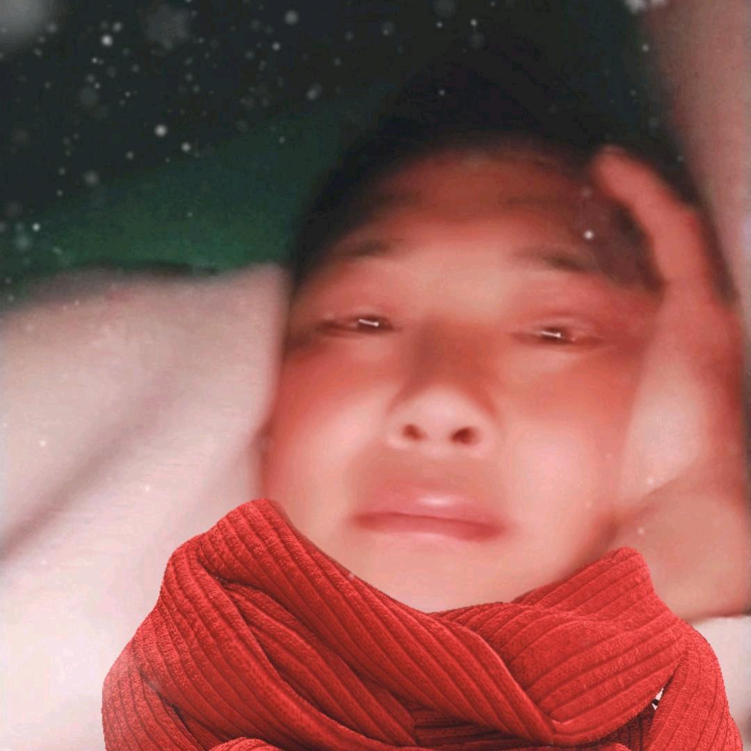 我是一个孤独的鸟，三毛哥